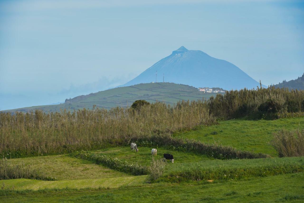 דירות Cedros Casas Do Pinheiro מראה חיצוני תמונה